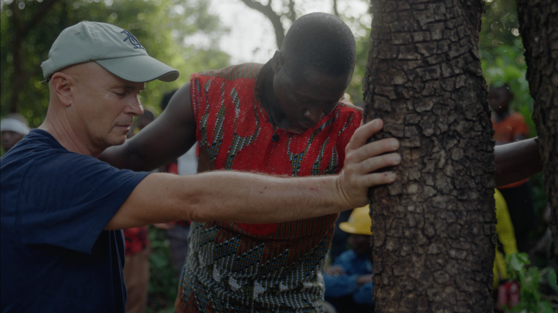 West Africa Discovery